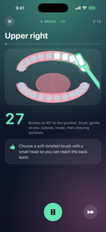 Brushwise counting down the first quadrant of a two-minute brush, with a sourced tip underneath